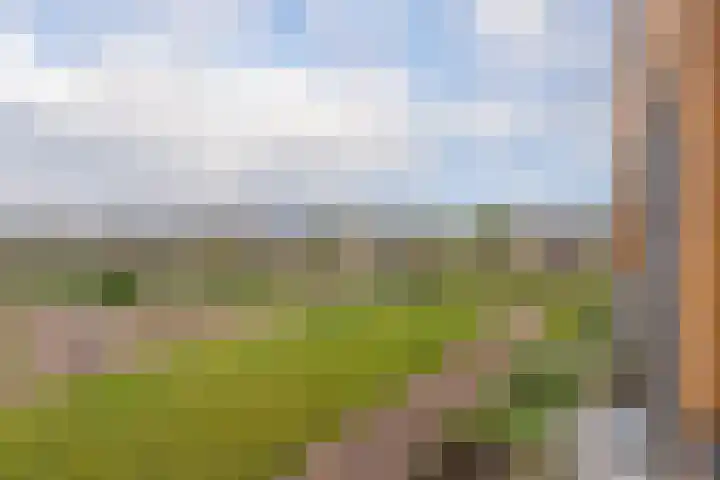 Noorderplantsoen 20 Assen thumbnail 22