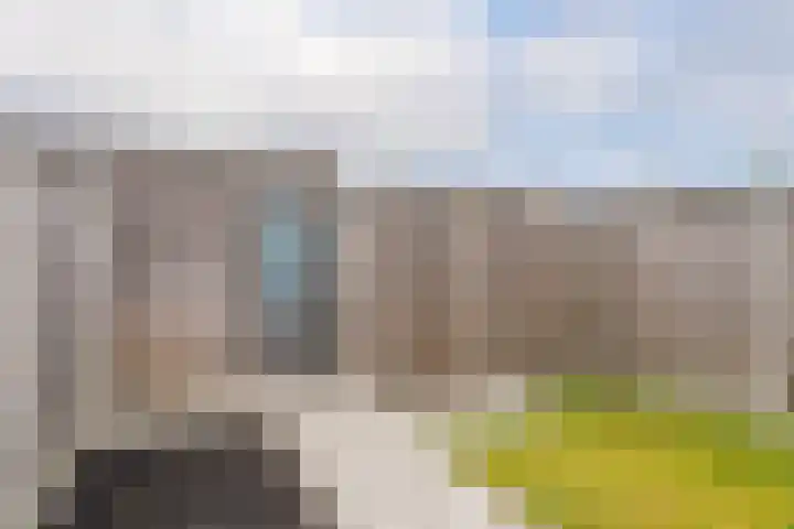 Noorderplantsoen 20 Assen thumbnail 41