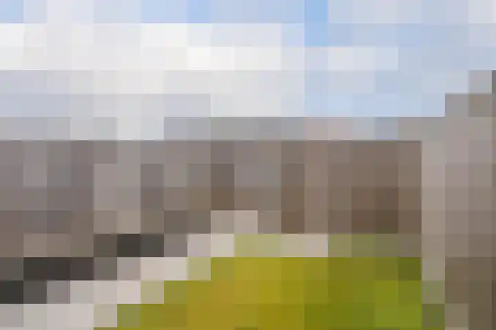Noorderplantsoen 20 Assen thumbnail 43