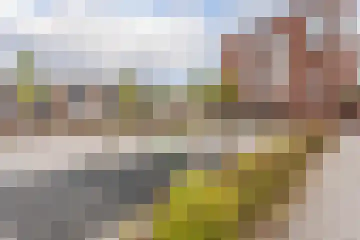 Noorderplantsoen 20 Assen thumbnail 50