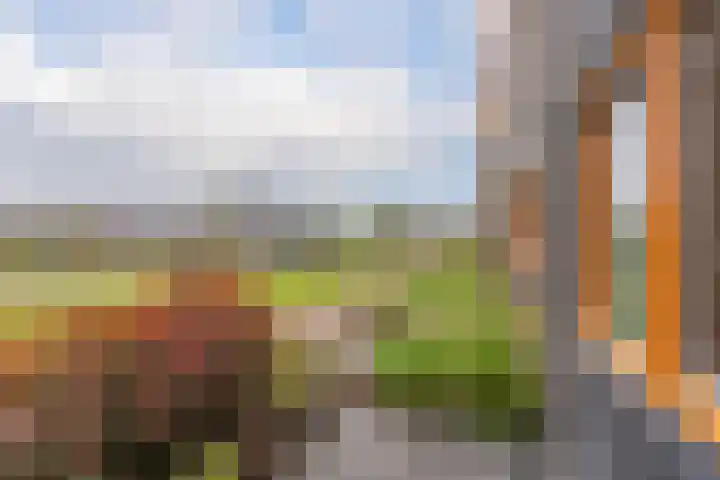 Noorderplantsoen 20 Assen thumbnail 9