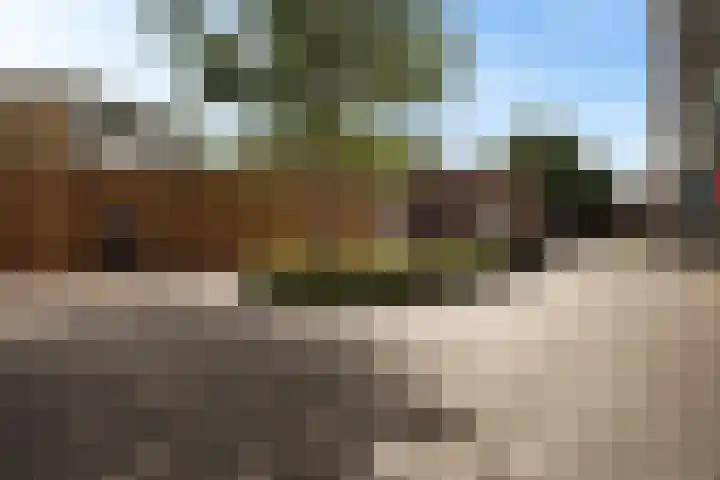 Noorderplein 26 Emmen thumbnail 31