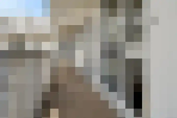 Noorderplein 26 Emmen thumbnail 6