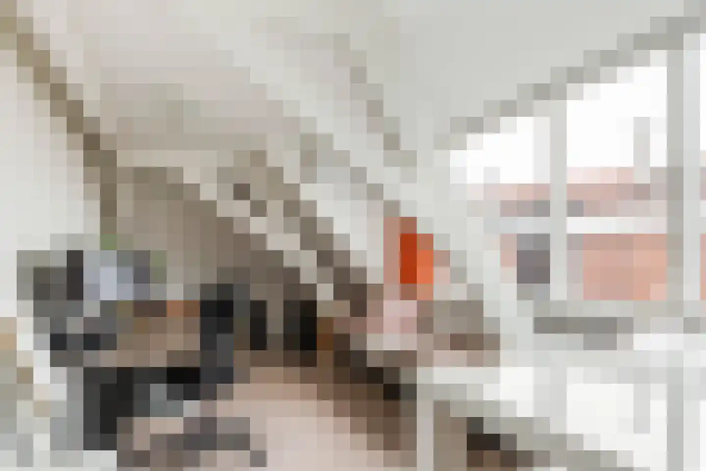 Noorderplein 6 Deventer thumbnail 21