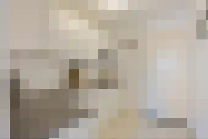 Noorderpoort 13 Echt thumbnail 19