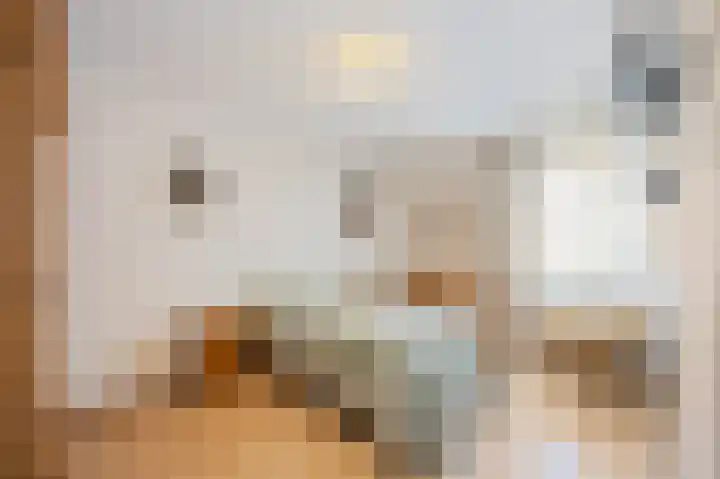 Noorderpoort 13 Echt thumbnail 22