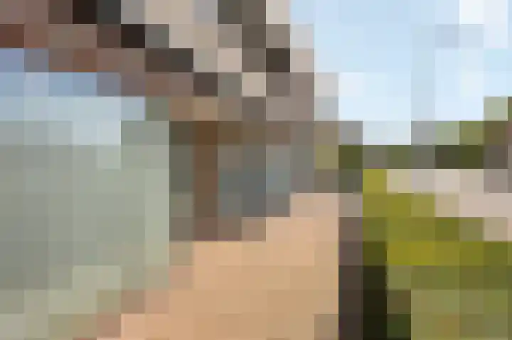 Noorderpoort 13 Echt thumbnail 4