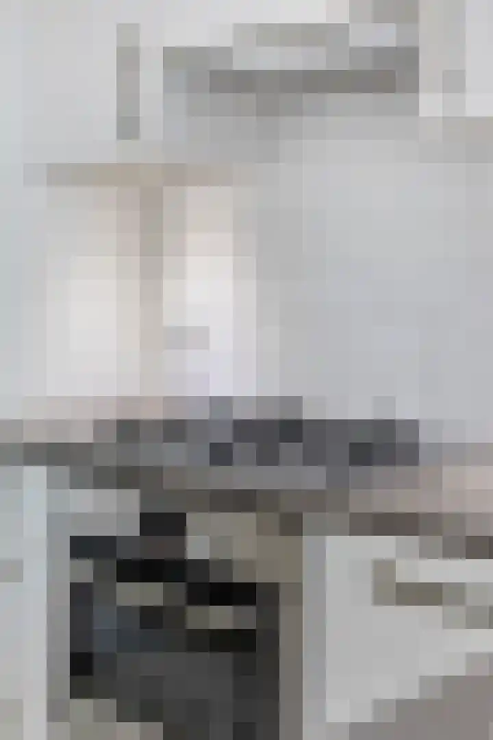 Noorderpoort 19 Echt thumbnail 6