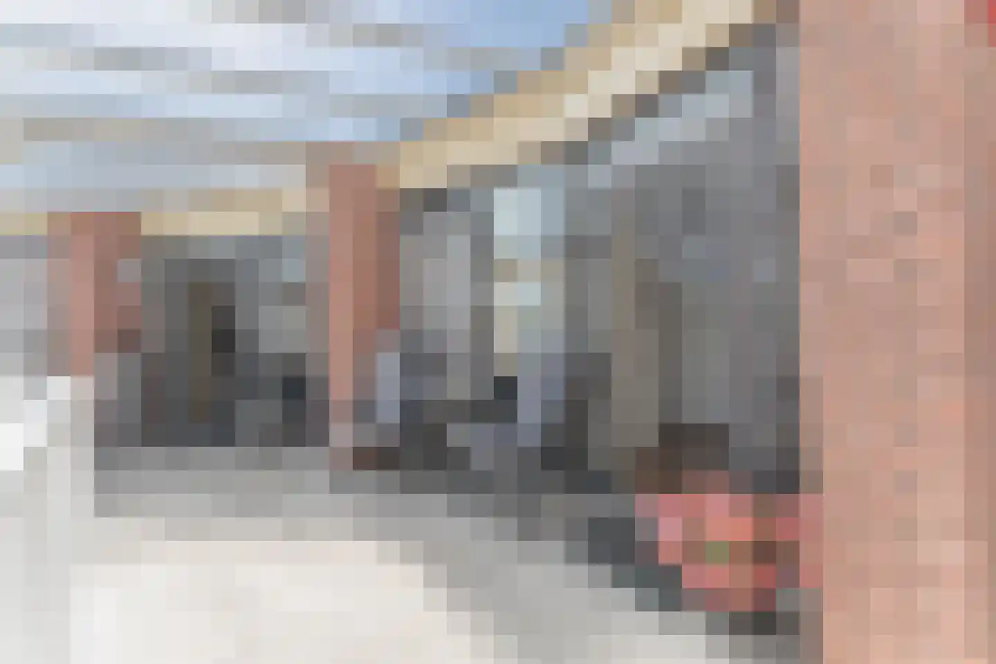 Noorderpoort 32 Enkhuizen thumbnail 36
