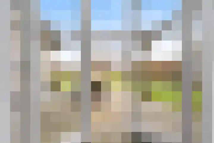 Noorderrak 11 Sneek thumbnail 18