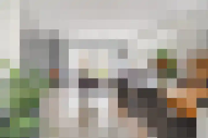 Noorderrak 11 Sneek thumbnail 19