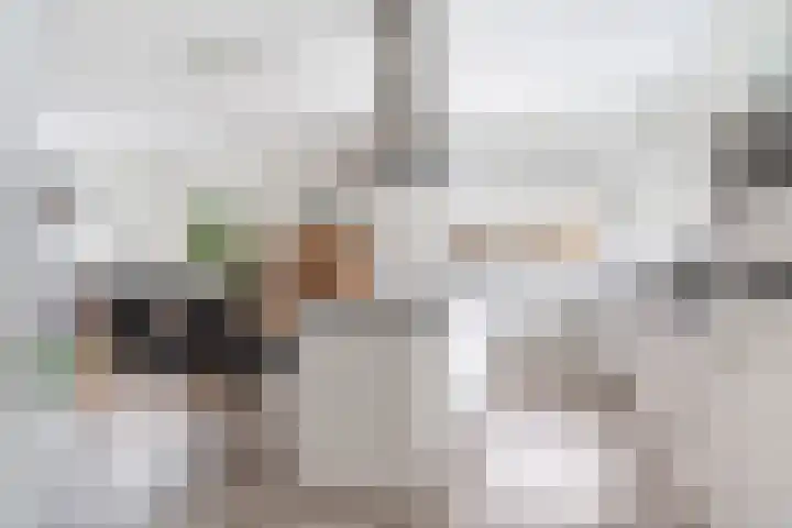 Noorderrak 11 Sneek thumbnail 23