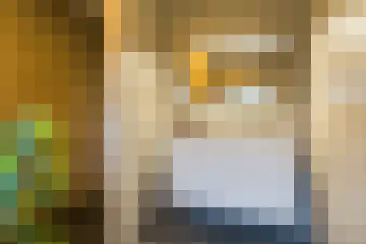 Noorderrak 11 Sneek thumbnail 32