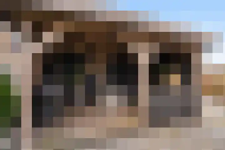 Noorderrak 11 Sneek thumbnail 55