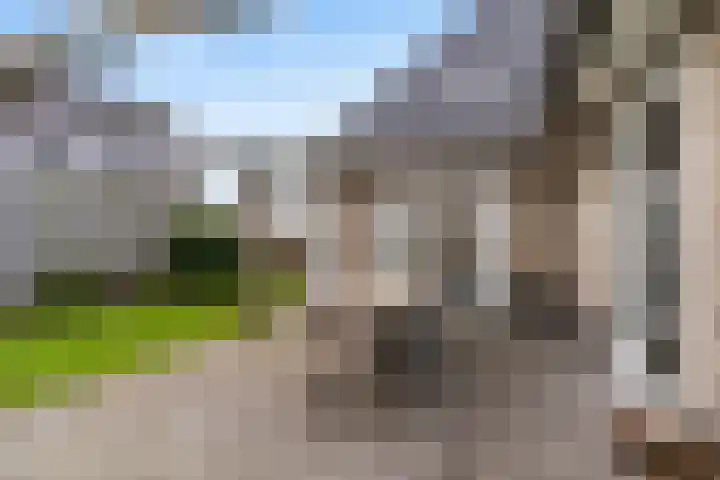 Noorderrak 11 Sneek thumbnail 66