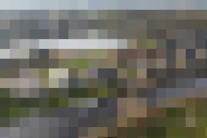 Noorderrak 11 Sneek thumbnail 73