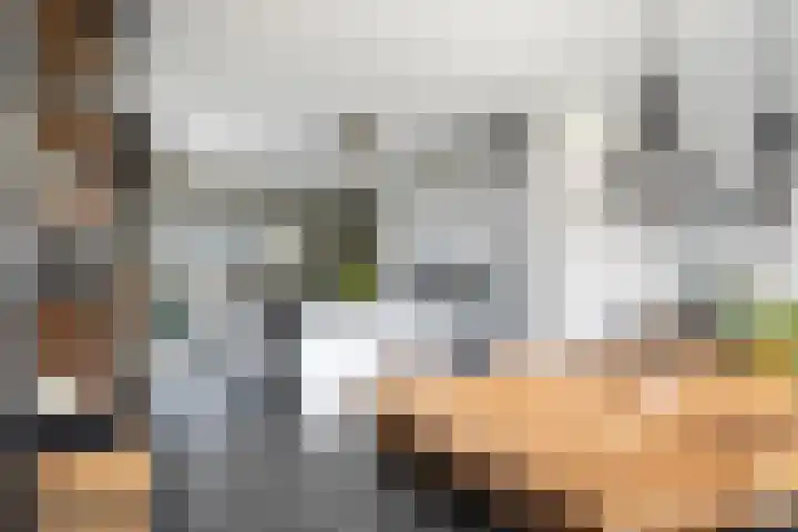 Noorderrak 19 Sneek thumbnail 13