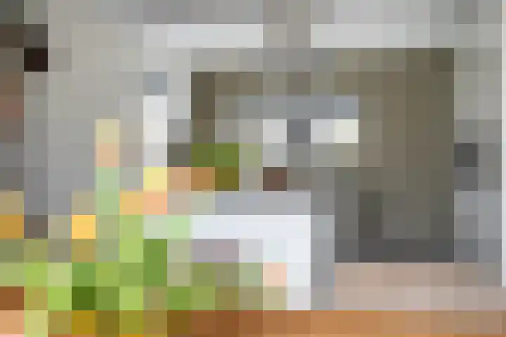 Noorderrak 19 Sneek thumbnail 15