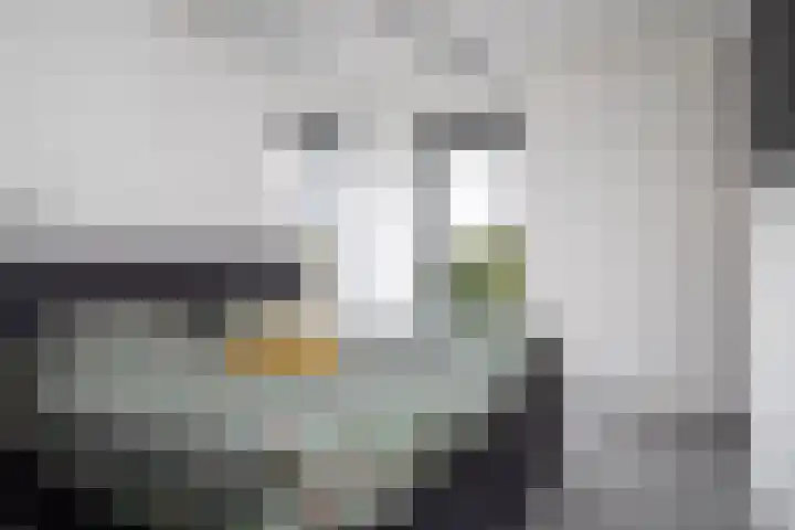 Noorderrak 19 Sneek thumbnail 18