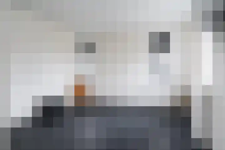 Noorderrak 19 Sneek thumbnail 32