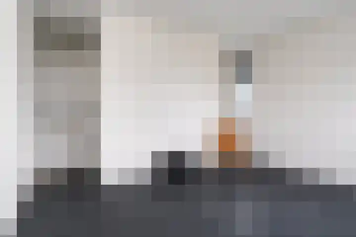 Noorderrak 19 Sneek thumbnail 33