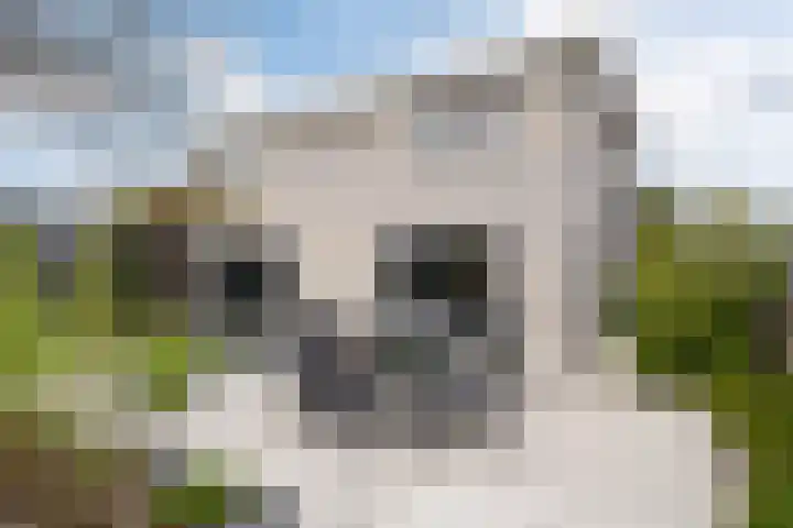 Noorderrak 19 Sneek thumbnail 38