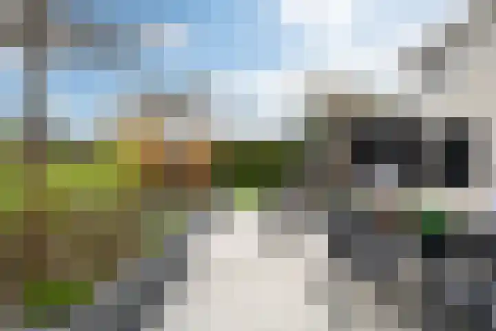 Noorderrak 19 Sneek thumbnail 39