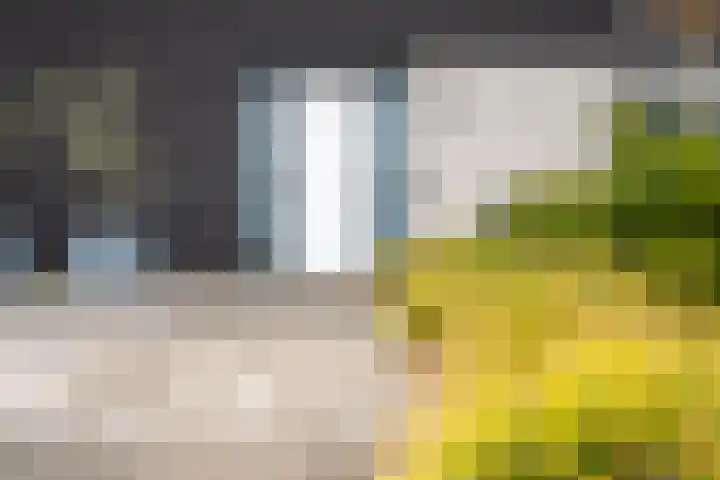 Noorderrak 19 Sneek thumbnail 4