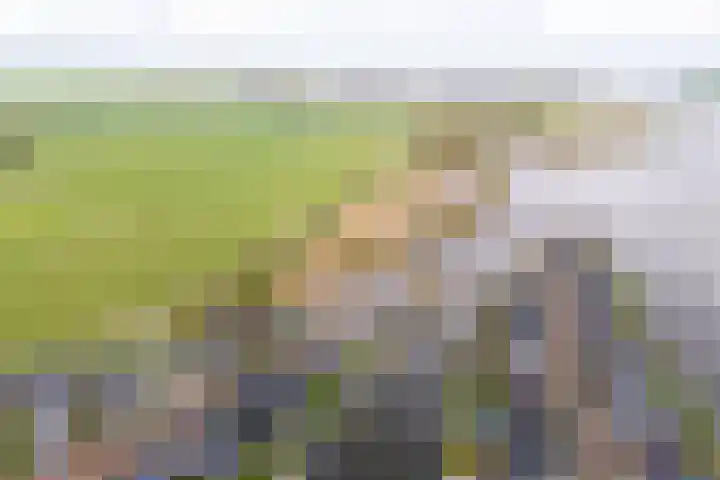 Noorderrak 19 Sneek thumbnail 47
