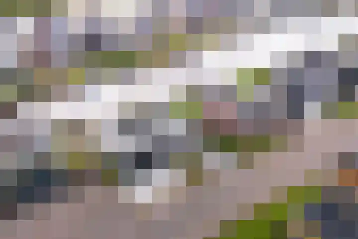 Noorderrak 19 Sneek thumbnail 48