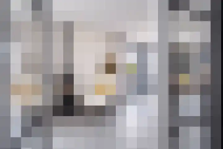 Noorderrak 19 Sneek thumbnail 8