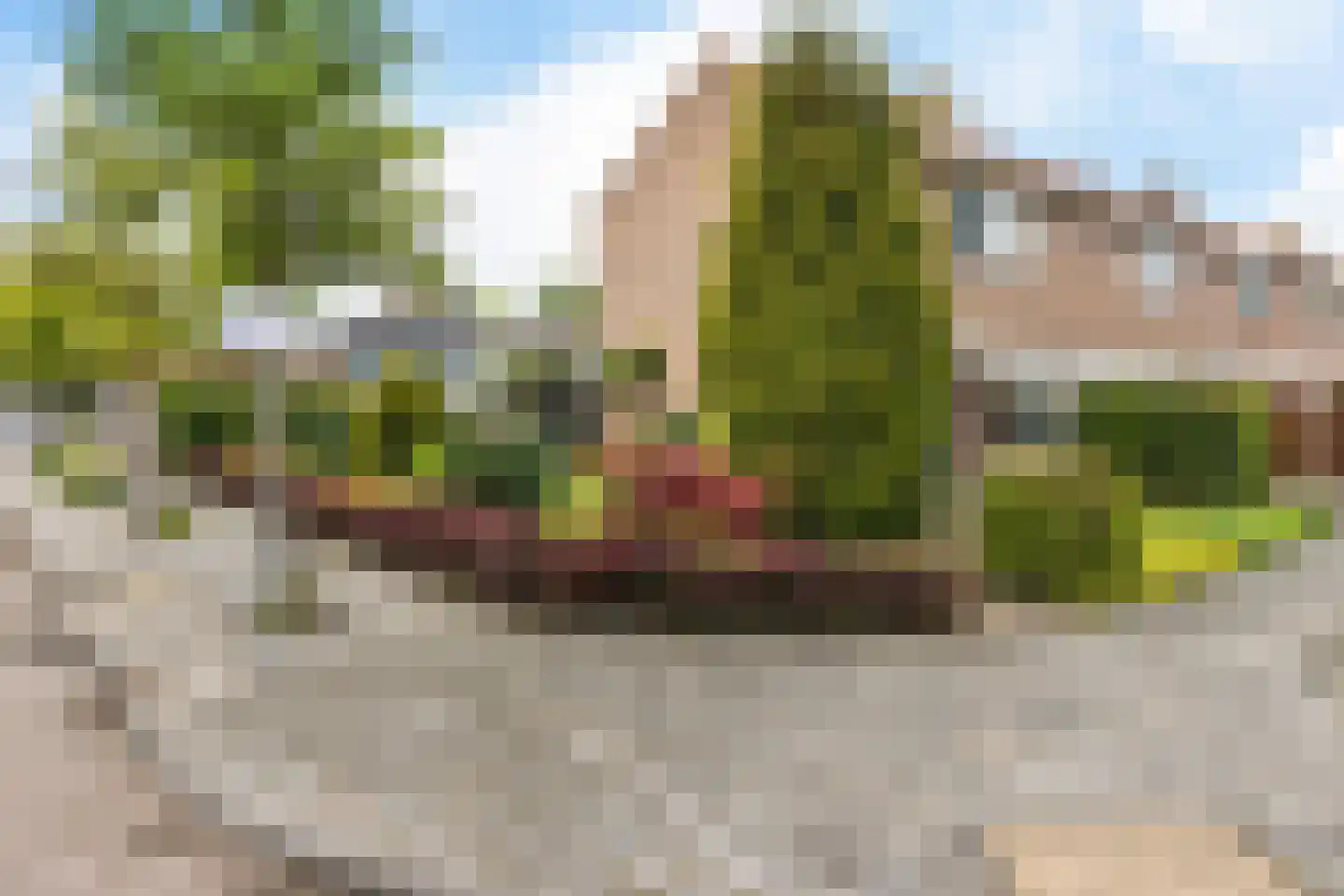 Noorderrand 32 Espel thumbnail 10