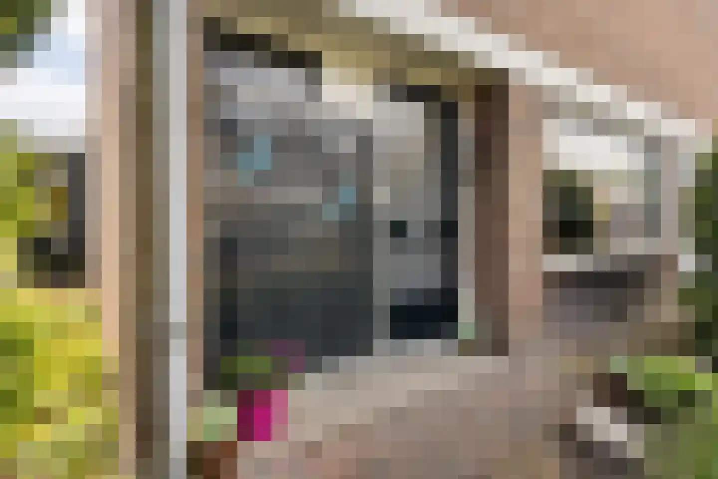 Noorderrand 32 Espel thumbnail 11