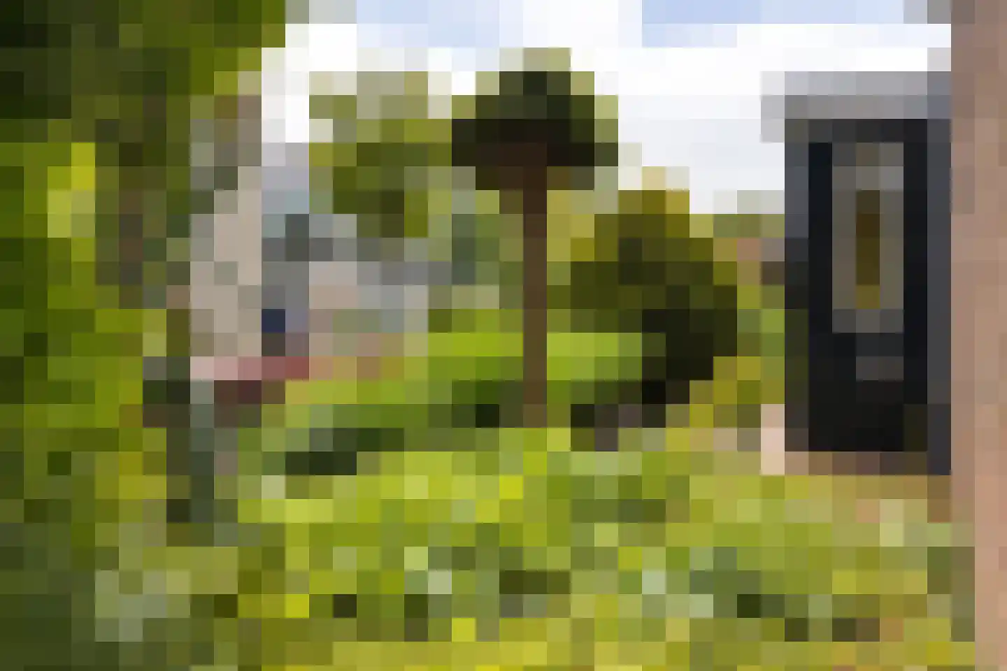 Noorderrand 32 Espel thumbnail 12