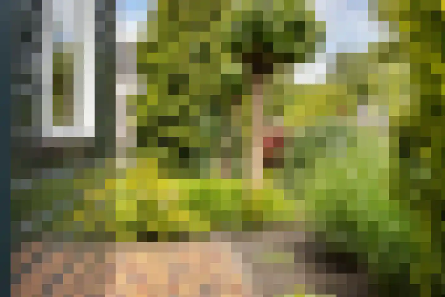 Noorderrand 32 Espel thumbnail 43