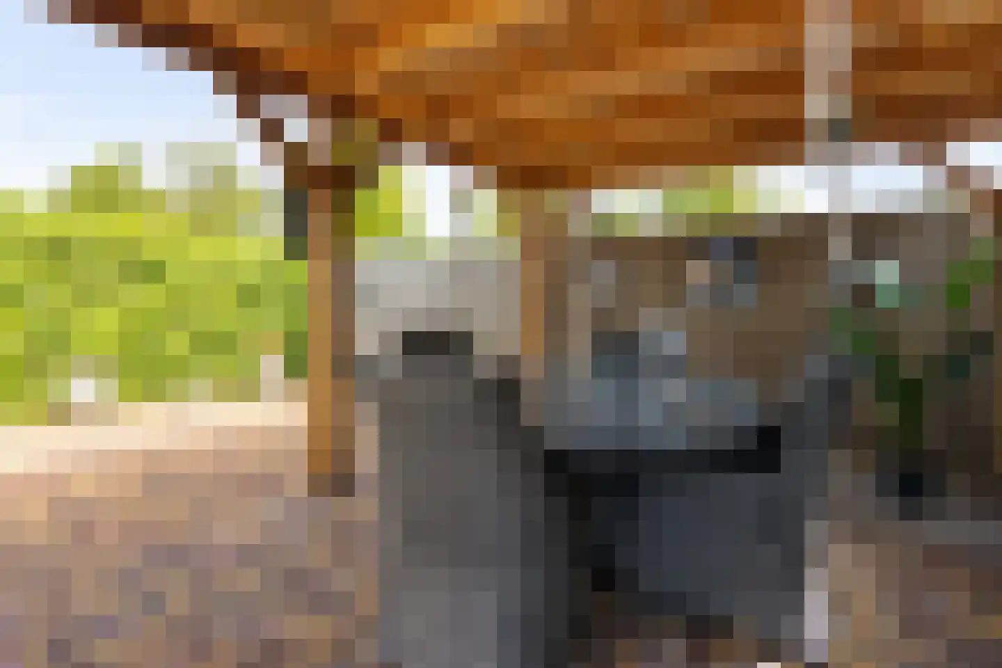 Noorderrand 32 Espel thumbnail 47