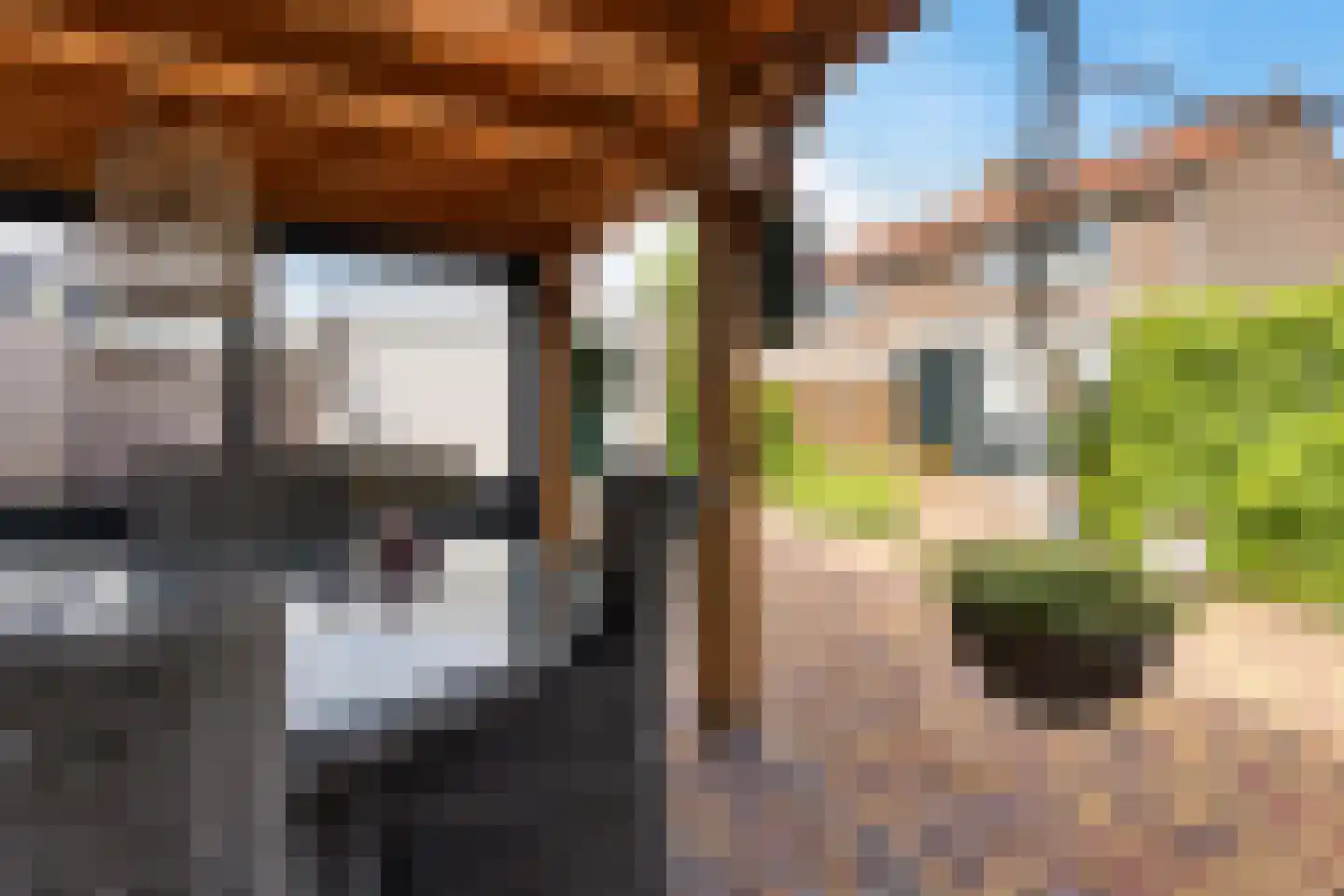Noorderrand 32 Espel thumbnail 48