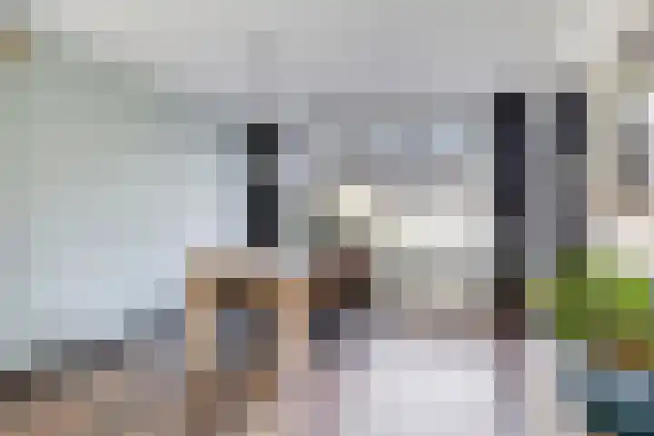 Noorderrand 33 Espel thumbnail 10