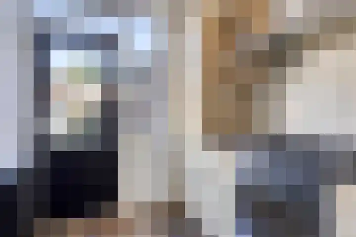 Noorderrand 33 Espel thumbnail 12
