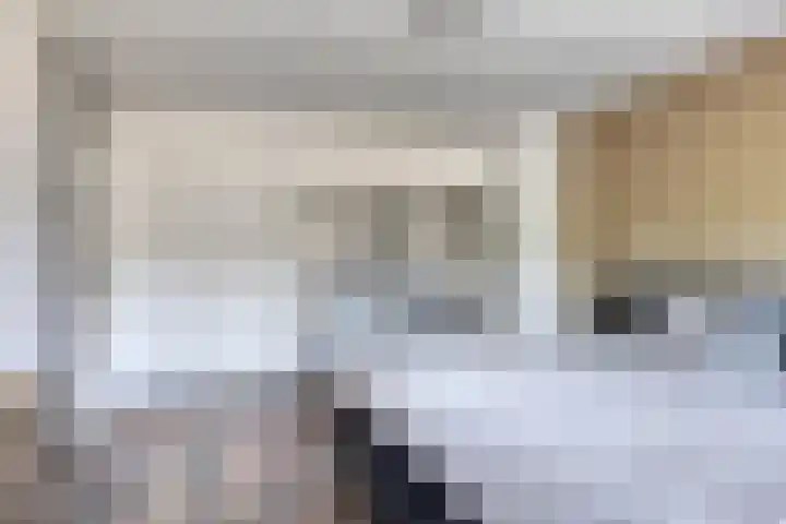 Noorderrand 33 Espel thumbnail 16
