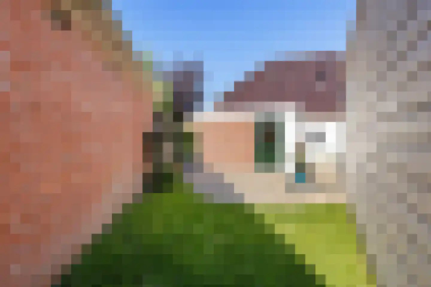 Noordersingel 10 Appingedam thumbnail 39