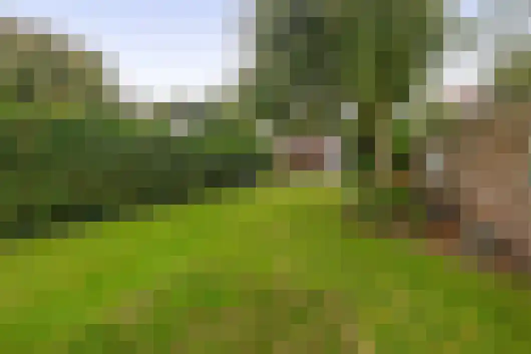 Noordersingel 13 Hoogezand thumbnail 37