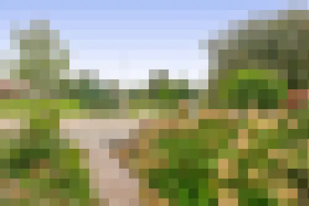 Noordersingel 13 Hoogezand thumbnail 40