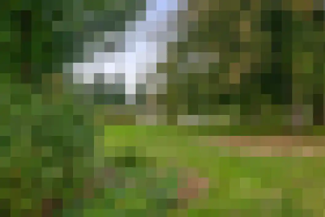 Noordersingel 13 Hoogezand thumbnail 43