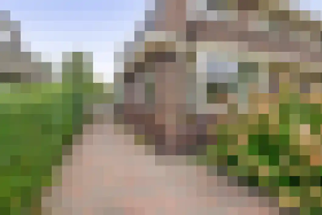 Noordersingel 13 Hoogezand thumbnail 7