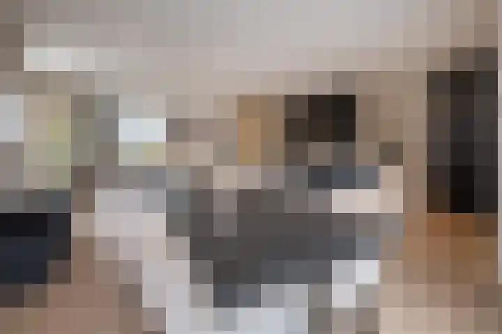 Noordersingel 136 Voorthuizen thumbnail 14