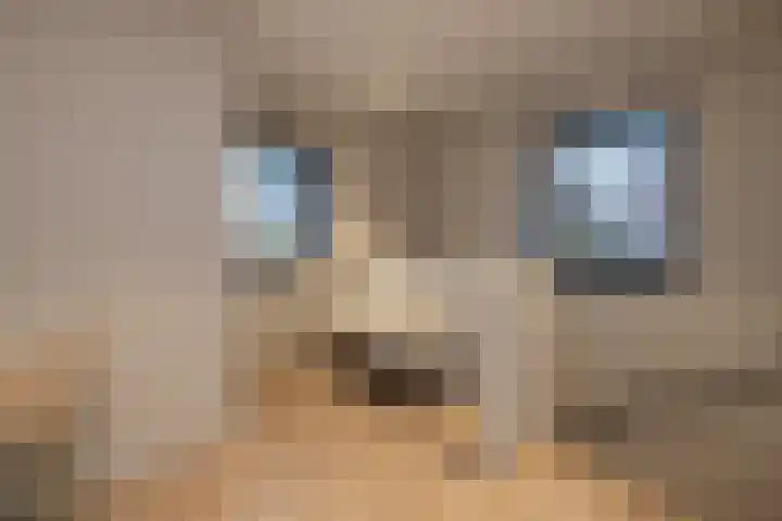 Noordersingel 136 Voorthuizen thumbnail 19