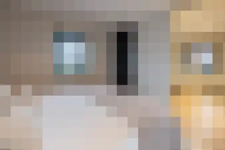 Noordersingel 136 Voorthuizen thumbnail 23