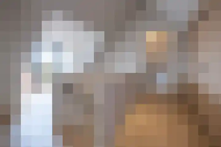 Noordersingel 136 Voorthuizen thumbnail 33