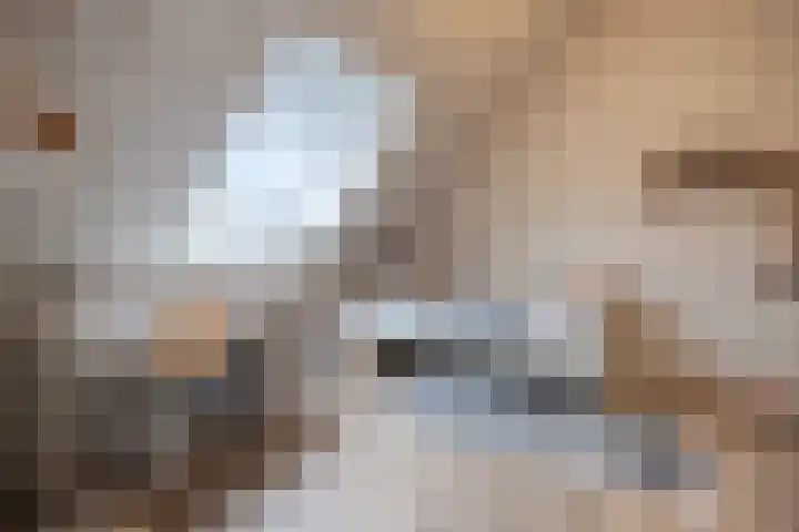 Noordersingel 136 Voorthuizen thumbnail 34